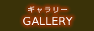 ギャラリー